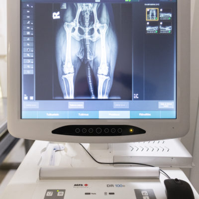 Kuopion Eläinlääkärikeskuksessa on Suomen paras röntgen-laite.